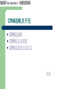 CRM战略及开发