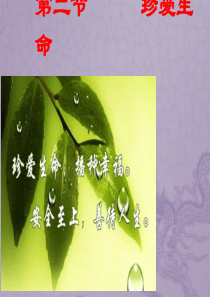 第二课 珍爱生命