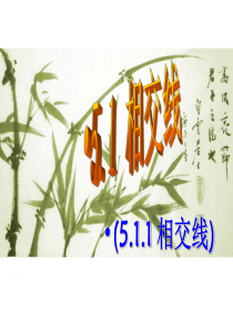 《相交线》ppt