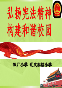少先队活动课宪法日