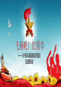 少先队知识普及