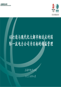 上海电力精益管理