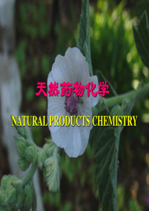 天然药物化学