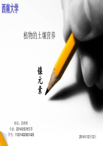 镍元素