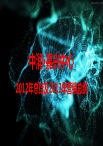 20130116_嘉兴中心_2013年营销总纲(第二稿)