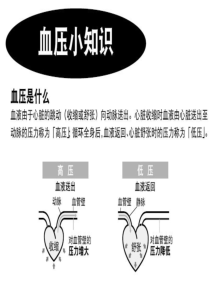 高血压基础培训-文档资料