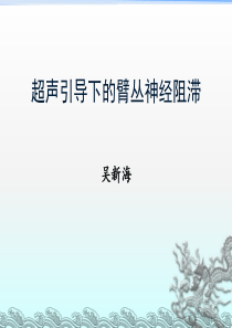 超声引导下的臂丛神经阻滞(吴新海)