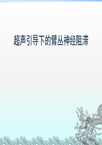 超声引导下的臂丛神经阻滞