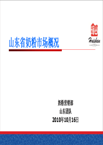 山东省 市场调研报告示范
