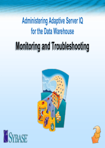 14_IQ监控与常见问题解答