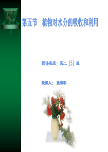 往漏斗中注入蔗糖溶液