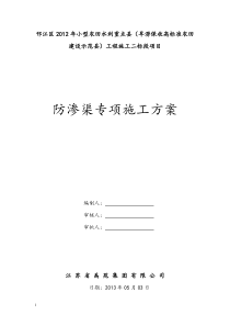 防渗渠专项施工方案