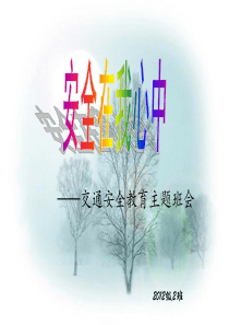 安全在我心中主题班会ppt