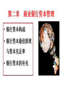 第二章商业银行资本管理