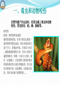 户外急救
