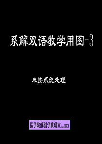 系解双语教学用图-3