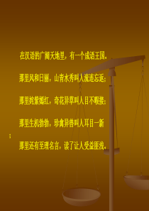 成语活动课