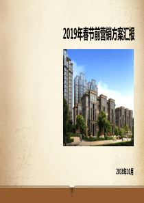 2019年春节前营销方案 - 副本