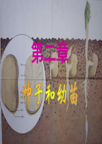 4.第二章种子和幼苗