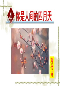 4.你是人间的四月天(1)