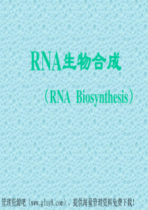 RNA生物合成
