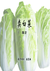 卖白菜--ppt