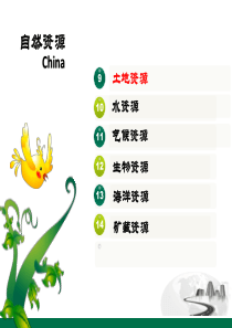 第九章——土地资源