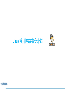 Linux 常用网络指令介绍