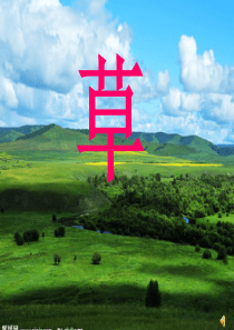 草PPT课件