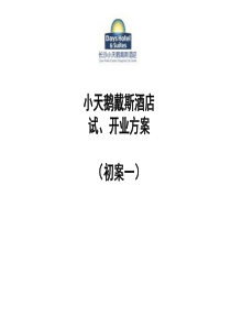 小天鹅戴斯酒店试业方案1