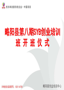 SYB第一步到十步课件