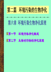 第六章 环境污染生物净化原理2006