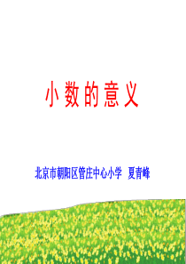 夏青峰--《小数的意义》课件