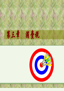 第五章消费税