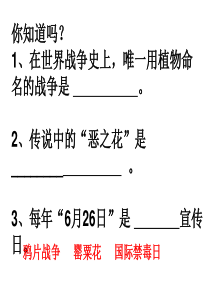 一(4)中学生禁毒主题班会
