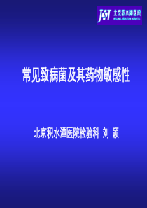 常见致病-菌及药敏