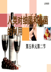 人类对细菌和真菌的利用 PPT课件