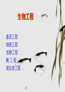 1  基因工程概论