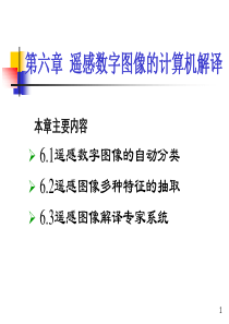 遥感数字图像计算机解译分析