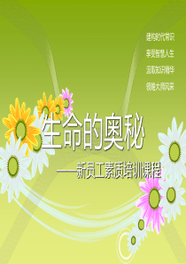 新员工素质培训课程