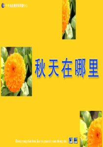 秋天在哪里教学(二年级上册)