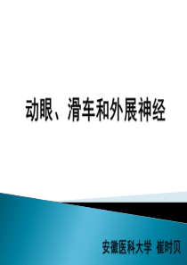 动眼、滑车、外展神经解剖