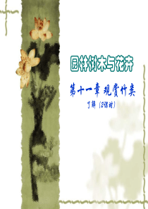 观赏竹类