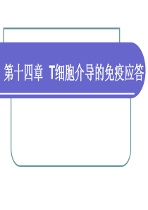T细胞介导的免疫应答