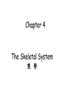 chapter4skeletalsystem