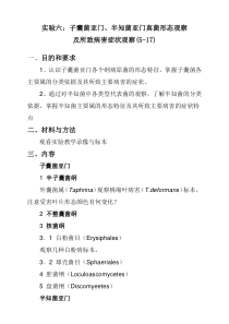 实验六 子囊菌亚门、半知菌亚门真菌形态观察及所致病害症状观察