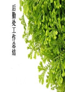 后勤处工作总结