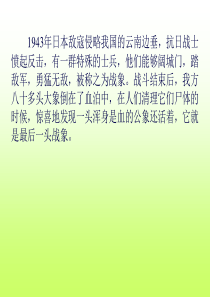 最后一头战象优秀ppt(强烈推荐)资料