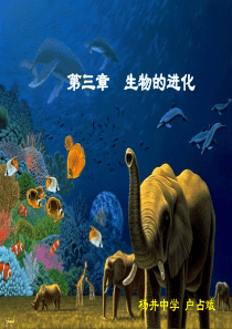 第三节《生物进化的原因》PPT课件2