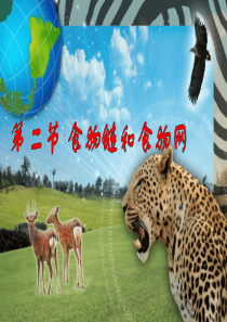 第二节 食物链和食物网(冀教版八年级生物)
